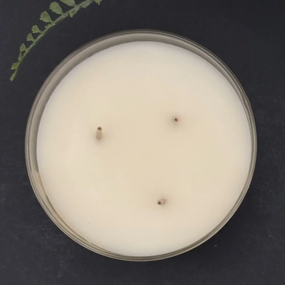 BBW Iced Lemon Pound Cake Bath & Body Works 3 Wick Candle